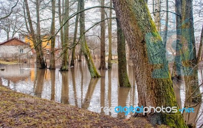 Flooded Creek In Early Spring Stock Photo