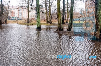 Flooded Creek In Early Spring Stock Photo