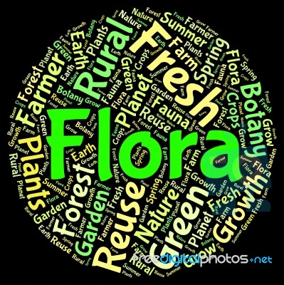 Flora Word Indicating Plant Life And Plants Stock Image