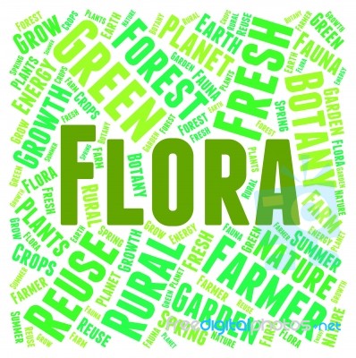 Flora Word Meaning Plant Life And Verdure Stock Image