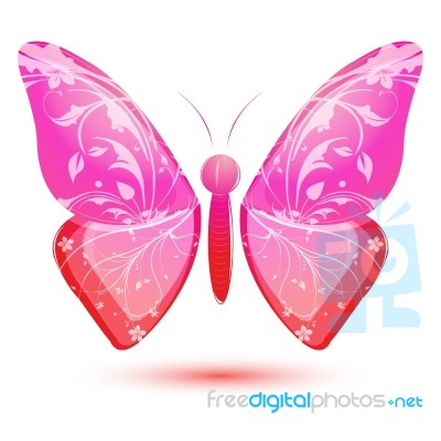 Floral Butterfly Stock Image