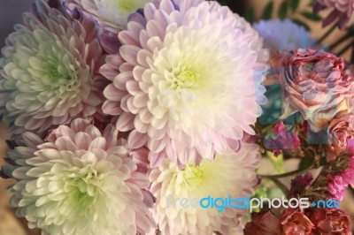 Flower Bouquet Stock Photo