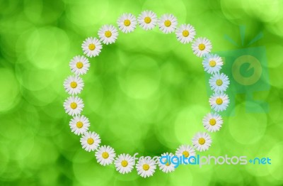 Flower Circle Stock Photo