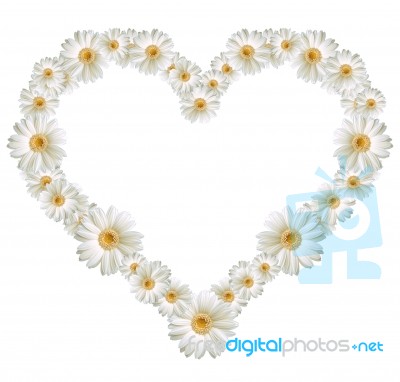 Flower Heart 2 Stock Photo