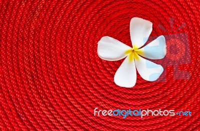 Flower On Rolled Red Rope Stock Photo