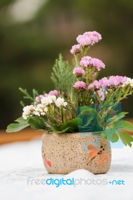 Flower On Table Stock Photo