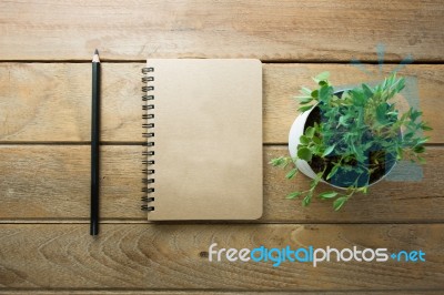 Flower Pot  Placed On A Wood Table With Notebook And Pencil Stock Photo