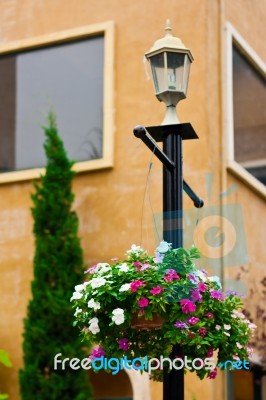 Flower Pots Hanging On The Light Pole Stock Photo