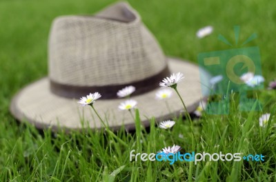 Flowers And Hat Stock Photo