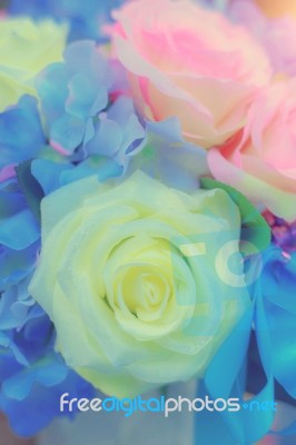 Flowers Arrangements - Spring Roses Celebration Bouquet Pastel Stock Photo