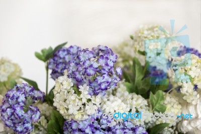 Flowers Decoration Stock Photo