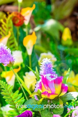 Flowers Decorative In Vase Stock Photo