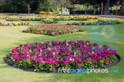 Flowers In The Gardens Near Bury St Edmunds Cathedral Stock Photo