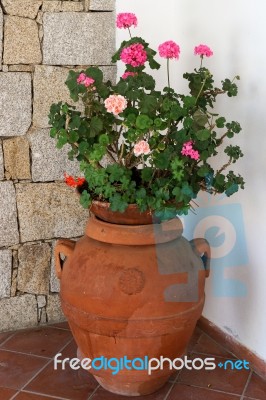 Flowers Inside The Church Of St. John The Baptist In Cannigione Stock Photo