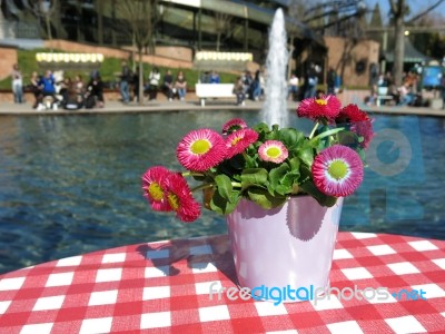 Flowers On A Table Next To A Fountain Stock Photo