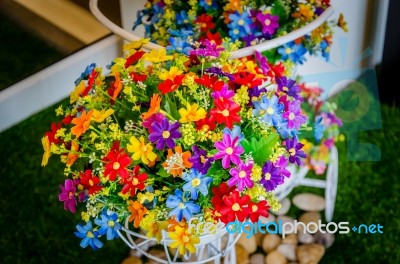 Flowers  Pots Vintage Stock Photo