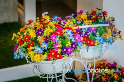 Flowers  Pots Vintage Stock Photo