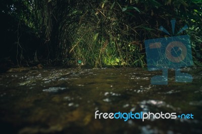 Flowing River With Green Plants Stock Photo