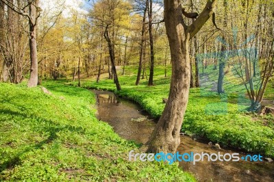 Flowing Stream In City Park Stock Photo