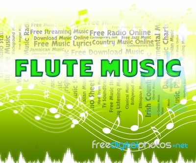 Flute Music Indicates Sound Track And Flautists Stock Image