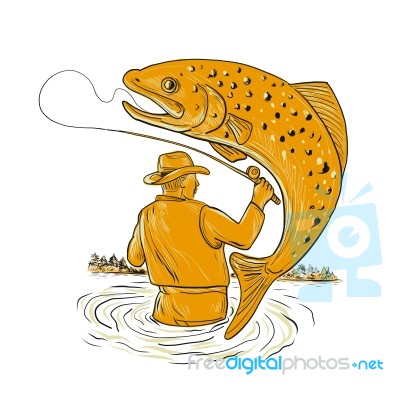 Fly Fisherman Reeling Trout Drawing Stock Image