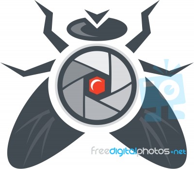 Fly With Camera Lens On Back Isolated Stock Image