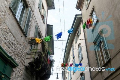 Flying Fish Across A Street In Citta Alta Bergamo Stock Photo