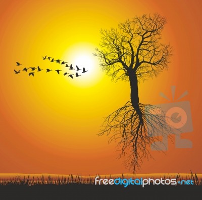 Flying Mulberry Tree Stock Image