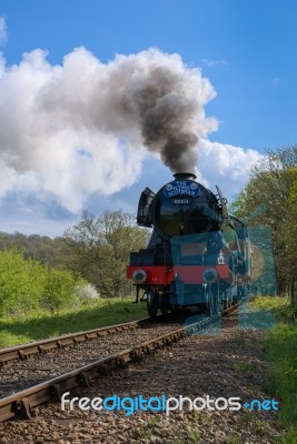 Flying Scotsman On The Bluebell Line Stock Photo