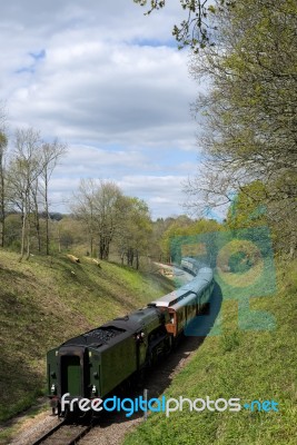 Flying Scotsman On The Bluebell Line Stock Photo