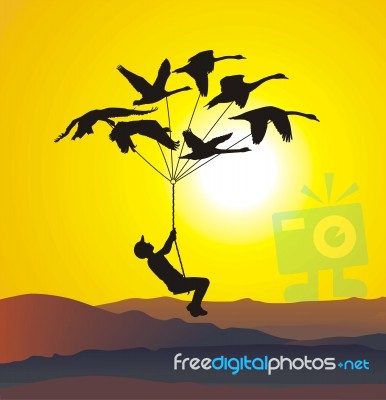 Flying Swans With Boys And Sunset Stock Image