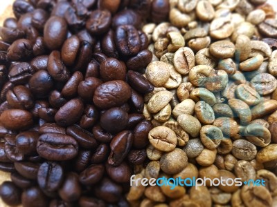 Focus 2 Colors Coffee Bean Stock Photo