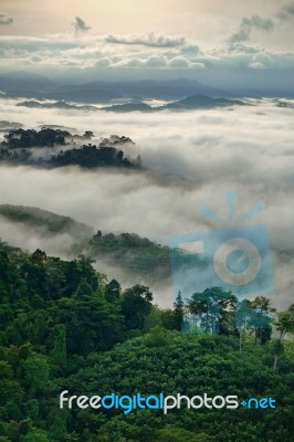 Fog Mountain Stock Photo