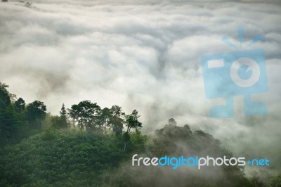 Fog Mountain Stock Photo