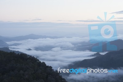 Fog On Mountain Thailand Stock Photo