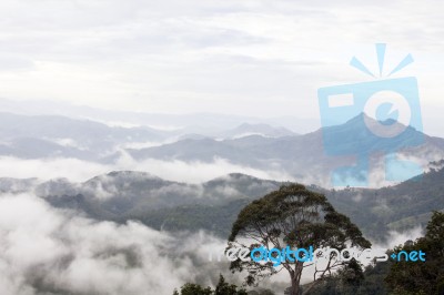 Fog On Mountain Thailand Stock Photo