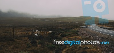 Foggy Field On The Mountain  Stock Photo