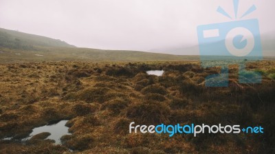 Foggy Field On The Mountain  Stock Photo