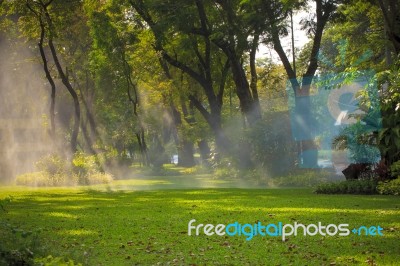 Foggy Of Garden Sprinker In Public Park Bangkok Thailand Stock Photo