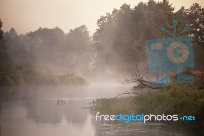 Foggy River In The Morning Stock Photo