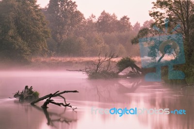 Foggy River In The Morning Stock Photo