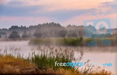 Foggy River In The Morning. Misty Dawn At Summer. Misty Morning Stock Photo