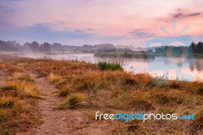 Foggy River In The Morning. Misty Dawn At Summer. Misty Morning Stock Photo