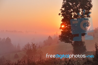 Foggy Rural Scene. Misty Morning In Mountains Stock Photo