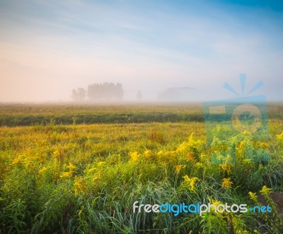 Foggy Spring Morning Stock Photo