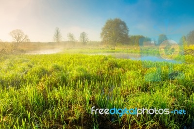 Foggy Spring Sunrise Stock Photo