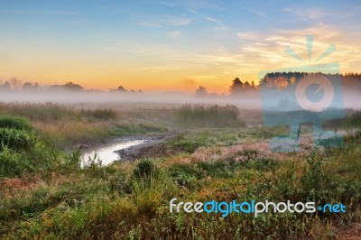 Foggy Summer Meadow In The Morning. Misty Dawn Panorama Stock Photo