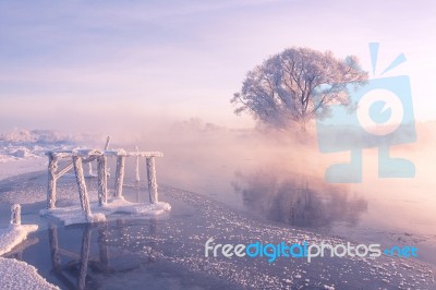 Foggy Winter Sunrise Stock Photo