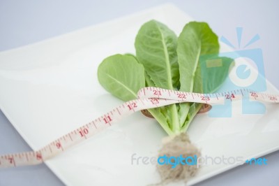 Food For Diet Stock Photo