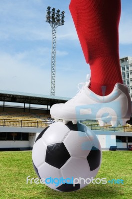 Football Player Stadium Stock Photo